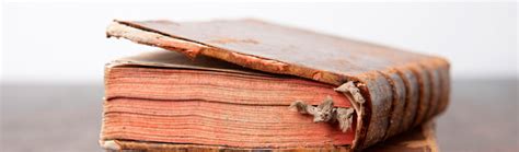 how to get musty smell out of books and why preserving our literary heritage is crucial for future generations